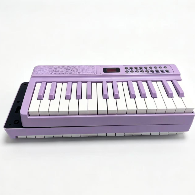 61-Key Portable Digital Piano  - Musical Instrument Keyboard review and price