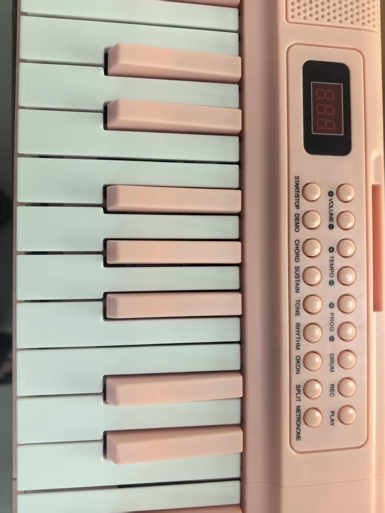61-Key Portable Digital Piano  - Musical Instrument Keyboard review and price